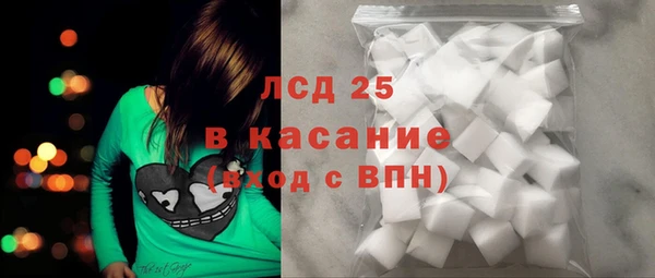 спайс Аркадак