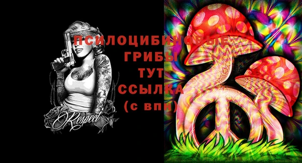 спайс Аркадак